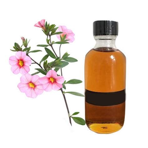 labdanum essential oil.